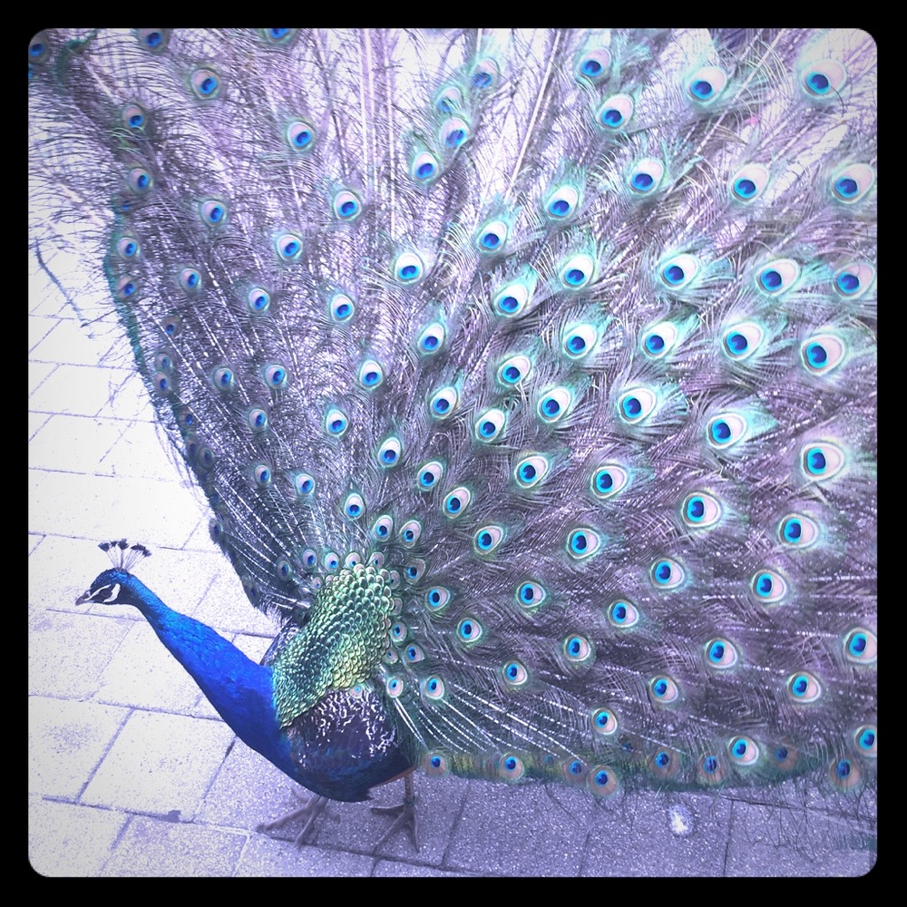 Meet your Posher, Aga